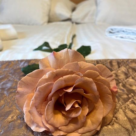 Hotel Rose City بودابست المظهر الخارجي الصورة