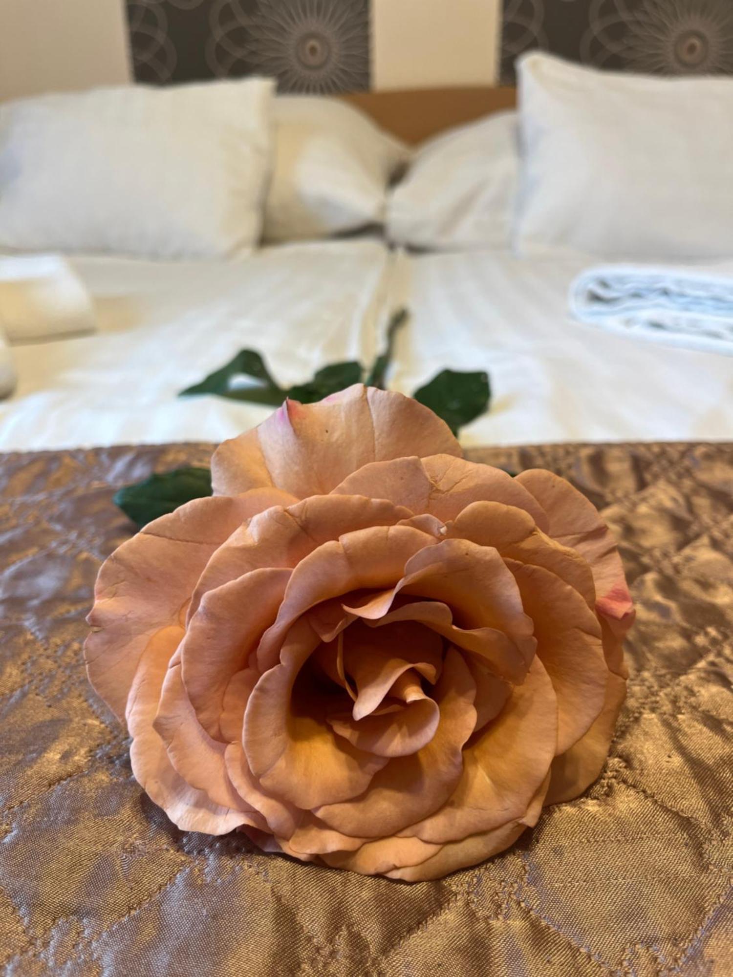 Hotel Rose City بودابست المظهر الخارجي الصورة